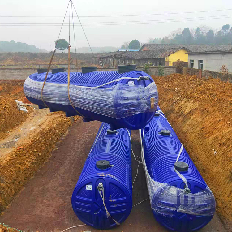 1四川贡县某环境公司定制景区污水处理设备